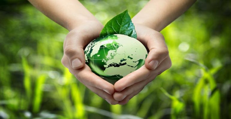 Choose The Greener Way Of Life Opt For Eco-Friendly Products – Ecosheets